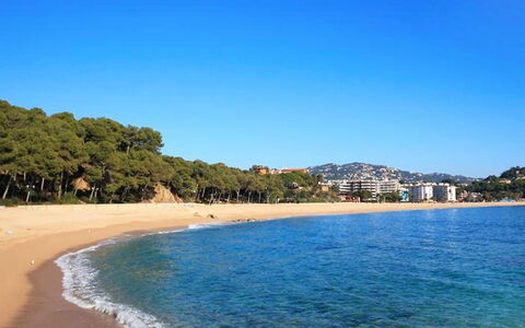 Tramuntana: Body Of Water, Beach, Sea, Coast, Sky, Shore, Ocean, Water, Coastal And Oceanic Landforms, Bay