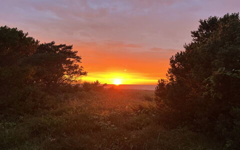 Kaj - 75M from the Sea: Sky, Sun, Afterglow, Sunset, Nature, Horizon, Orange, Leaf, Branch, Dusk