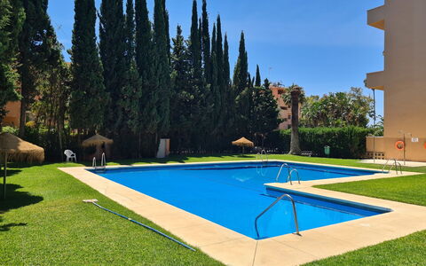 Carib Playa: Swimming Pool, Garden, Landscaping, Lawn, Hacienda, Resort, Shade, Yard, Backyard, Evergreen