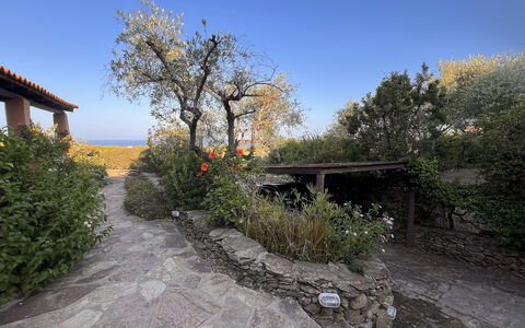 Villetta Oasi Belvedere, Budoni, Wifi, Ac: Shrub, Garden, Landscaping, Backyard, Flagstone, Flowerpot