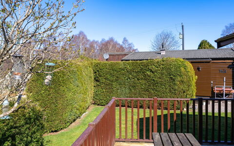 Lodge 4: Shrub, Hedge, Garden, Fence, Home Fencing, Landscaping, Backyard, Lawn, Yard, Shade