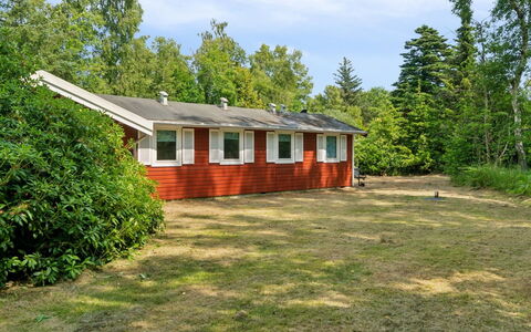 Rieke - from the Sea: Estate, Shade, Driveway, Farmhouse