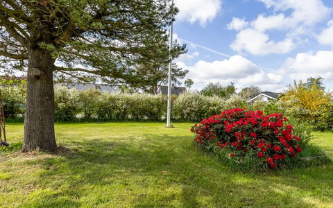 Winona - 250M from the Sea: Vegetation, Shrub, Spring, Cottage, Garden, Shade, Backyard, Yard, Chair