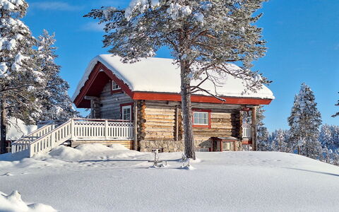 Aurora: Snow, Winter, Wood, House, Cottage, Home, Roof, Log Cabin, Freezing, Hut