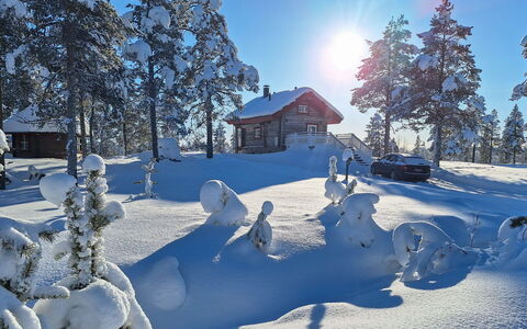 Aurora: Wood, Cottage, Log Cabin, Forest, Shed, Garden Buildings, Larch, Woodland, Wood Stain