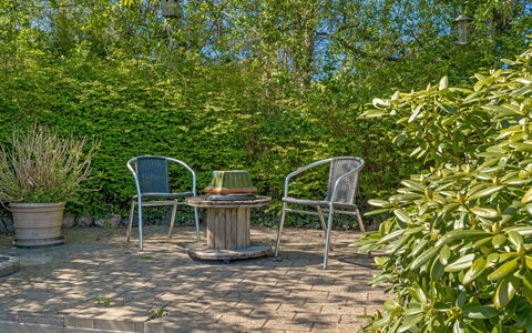 Welma - 200M from the Sea: Green, Leaf, Vegetation, Outdoor Furniture, Furniture, Shrub, Plant Community, Garden, Shade