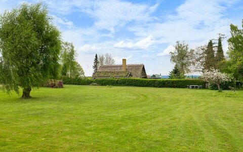 Andine - 250M from the Sea: Green, Grass, Tree, Nature, Shrub, Grassland, Landscape, Land Lot, Garden