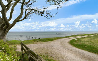 Andine - 250M from the Sea
