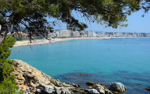 Rieramar: Coast, Body Of Water, Beach, Coastal And Oceanic Landforms, Sea, Shore, Ocean, Cove, Headland, Bay