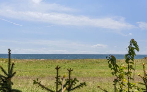 Naina - 200M from the Sea: Blue, Shrub, Cottage, Groundcover, Garden, Estate, Shade, Landscaping, Farmhouse, Eco Hotel