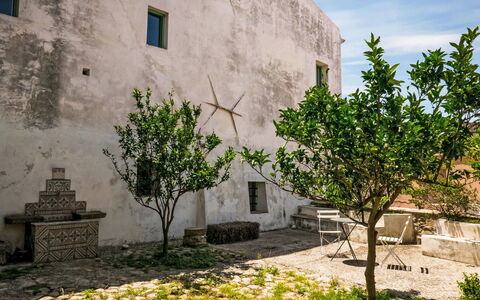Centro: Wall, Garden, Courtyard, Flowerpot, Landscaping, Hacienda, Houseplant, Walkway, Flagstone