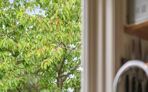 Esme - 225M to the Fjord: Blue, Shrub, Cottage, Groundcover, Garden, Estate, Shade, Landscaping, Farmhouse, Eco Hotel