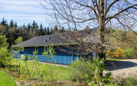 Alia - 30Km from the Sea: Estate, Shade, Driveway, Farmhouse