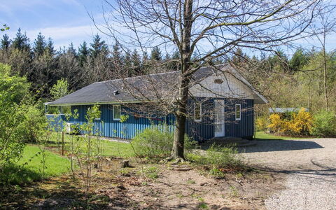 Alia - 30Km from the Sea: Estate, Shade, Driveway, Farmhouse