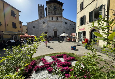 Anna: Building, Window, Town, Facade, Flowerpot, Umbrella, Outdoor Table, Outdoor Furniture, Town Square, Houseplant