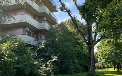 Suite Vogel: Vegetation, Shrub, Apartment, Garden, Condominium, Landscaping, Evergreen