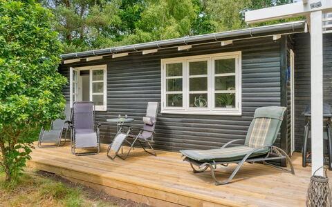 Fridborg - 425M from the Sea: Vegetation, Shrub, Spring, Cottage, Garden, Shade, Backyard, Yard, Chair