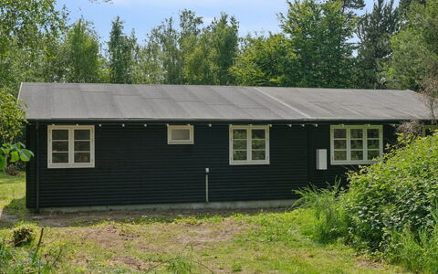 Fridborg - 425M from the Sea: Vegetation, Shrub, Spring, Cottage, Garden, Shade, Backyard, Yard, Chair