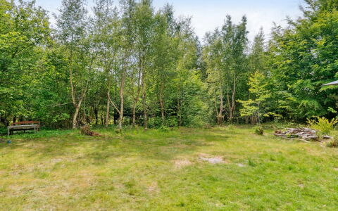 Fridborg - 425M from the Sea: Vegetation, Shrub, Spring, Cottage, Garden, Shade, Backyard, Yard, Chair
