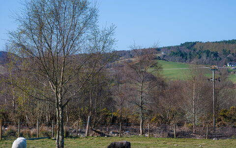 Crofters View: Shrub, Residential Area, Home, Estate, Garden, Lawn, Landscaping, Yard, Mansion, Villa