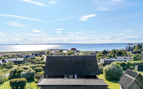 Minza - 150M from the Sea: Estate, Shade, Driveway, Farmhouse