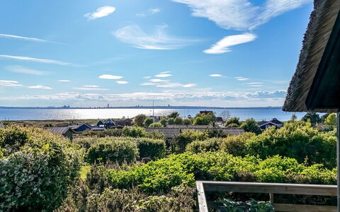Minza - 150M from the Sea: Estate, Shade, Driveway, Farmhouse