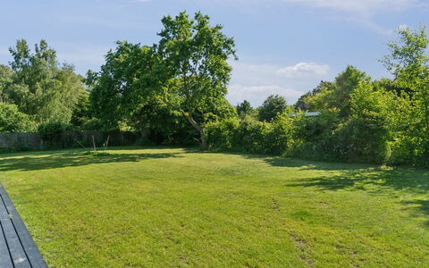 Thrym - 2.5Km from the Sea: Vegetation, Shrub, Spring, Cottage, Garden, Shade, Backyard, Yard, Chair