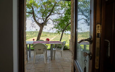Accommodation:&nbsp;Grappolo Verde 648.1