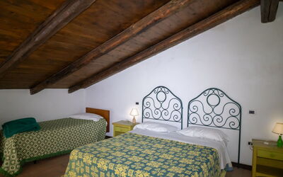 Accommodation:&nbsp;Grappolo Verde 648.1