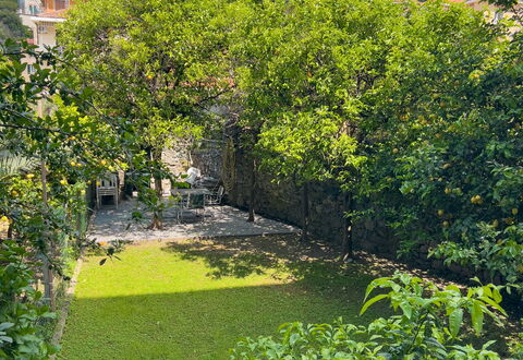 Corso Roma 15 Vacanze - Levanto: Green, Leaf, Vegetation, Shrub, Garden, Groundcover, Spring, Landscaping, Backyard, Yard