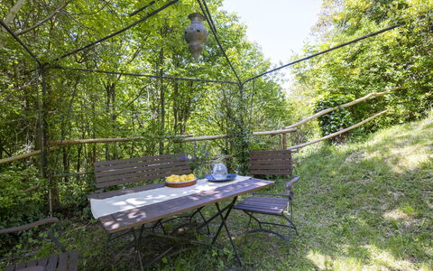 Il Castagneto: Plant Community, Jungle, Garden, Shade, Woodland, Valdivian Temperate Rain Forest, Outdoor Structure, Rainforest, Backyard