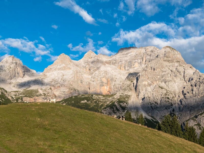 Terme di Comano 103