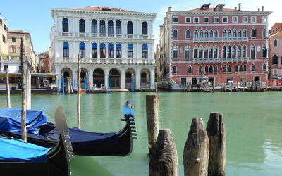 Venice Photobirding, Nature And Culture: Boat, Body Of Water, Boats And Boating--Equipment And Supplies, Watercraft, Building, Waterway, Channel, Canal, Watercourse