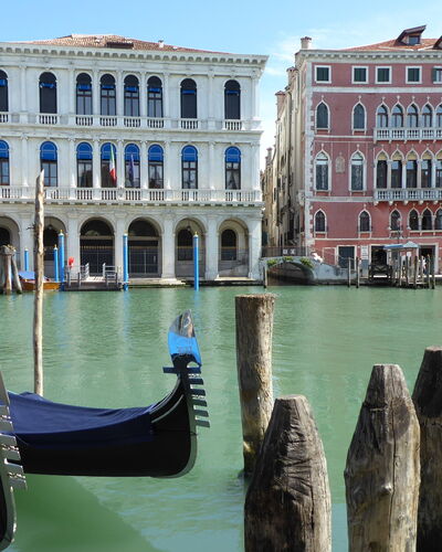 Venice Photobirding, Nature And Culture: Boat, Body Of Water, Boats And Boating--Equipment And Supplies, Watercraft, Building, Waterway, Channel, Canal, Watercourse