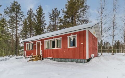 Villa Hepola: Wood, Cottage, Log Cabin, Forest, Shed, Garden Buildings, Larch, Woodland, Wood Stain