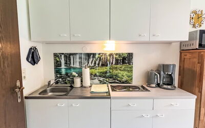 Studio Esche 4 651.4: Kitchen, Kitchen Appliance, Apartment, Major Appliance, Cabinetry, Kitchen Sink, Countertop, Sink, Wood Stain, Houseplant