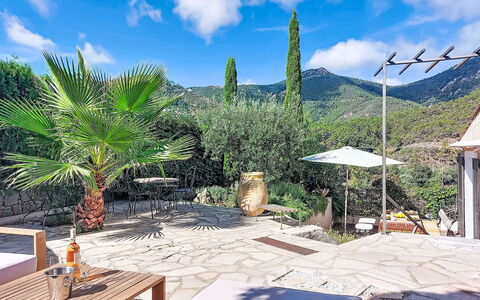 Sainte Honorine: Wood, Garden, Backyard, Land Lot, Home, Roof, Shade, Deck, Hardwood, Yard