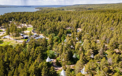 Lagunen Villa 3: Tree, Natural Environment, Landscape, Land Lot, Forest, Nature Reserve, Woodland, Landscaping, Grove
