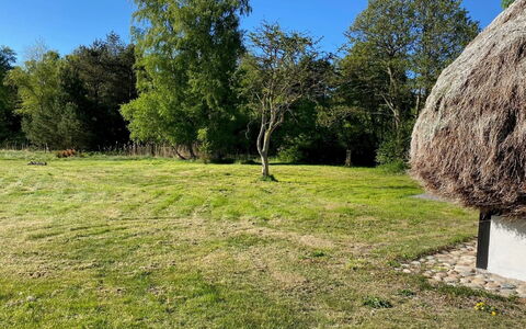 Annabeth - 900M from the Sea: Grass, Tree, Grassland, Plain, Land Lot, Rural Area, Thatching, Lawn, Pasture