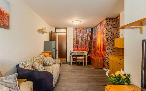 Boris: Wood, Interior Design, Furniture, Flooring, Ceiling, Floor, Room, Apartment, Living Room, Wood Stain