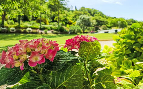 Douce Campagne: Garden, Outdoor Furniture, Resort, Shade, Leisure, Lawn, Eco Hotel, Landscaping, Tent, Park