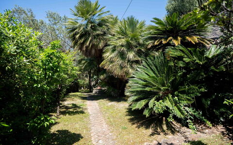 Villa Girasole: Leaf, Vegetation, Shrub, Garden, Woody Plant, Botanical Garden, Landscaping