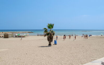 Les Oliveres