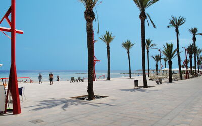 Les Oliveres