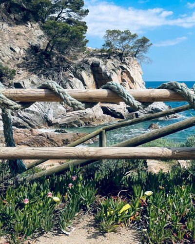Loomins Studio: Wood, Coast, Coastal And Oceanic Landforms, Sea, Trunk, Shore, Ocean, Natural Material, Tropics