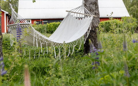 Bygget: Garden, Spring, Lawn, Backyard, Yard, Net