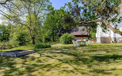 Vetlycke: Tree, Grass, Leaf, Branch, Shrub, Garden, Landscape, Lawn, Grassland