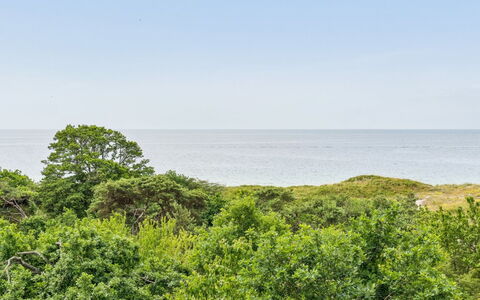 Mariam - 100M from the Sea: Sky, Blue, Vegetation, Horizon, Natural Landscape, Ecoregion, Cloud, Summer, Plant Community, Shrub