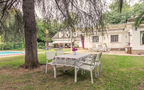 Sevilla Sanlúcar la Mayor 100: Residential Area, Home, Estate, Garden, Lawn, Hacienda, Shade, Farmhouse, Yard, Backyard