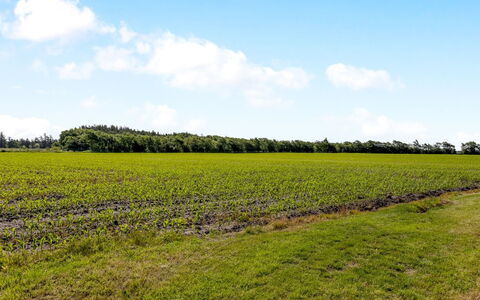Rahild - 10Km from the Sea: Blue, Shrub, Cottage, Groundcover, Garden, Estate, Shade, Landscaping, Farmhouse, Eco Hotel